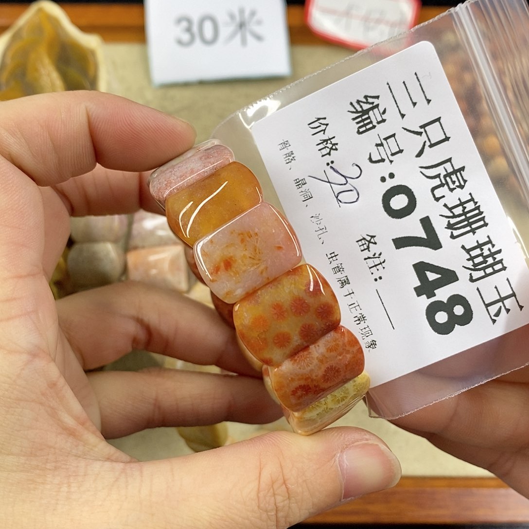 硅化珊瑚（珊瑚玉）1未镶嵌与**邻