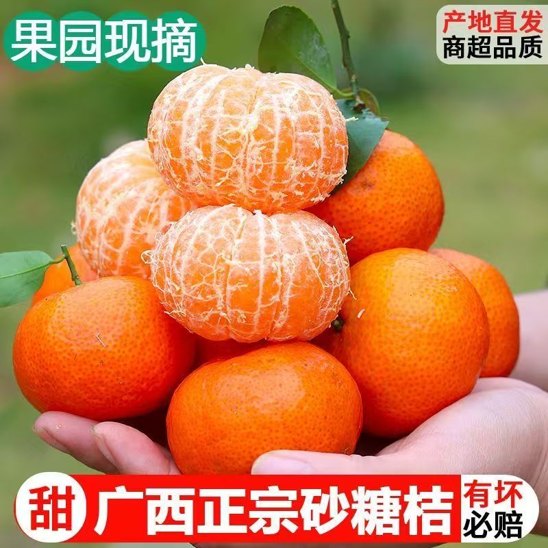 【京东快递】正宗广西砂糖橘桔子产地直采25m-50m果4斤-5斤