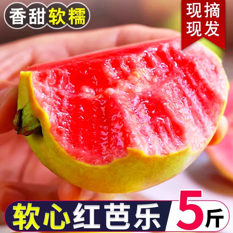 【香软大果】广西软心红心芭乐番石榴新鲜水果红心软芭乐果软硬可吃