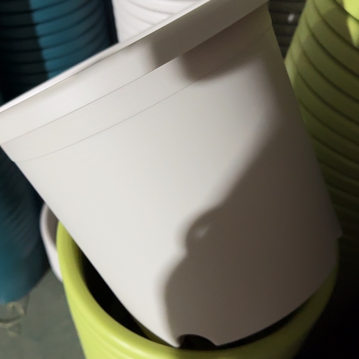 四季5号灰白无托6个特价微瑕