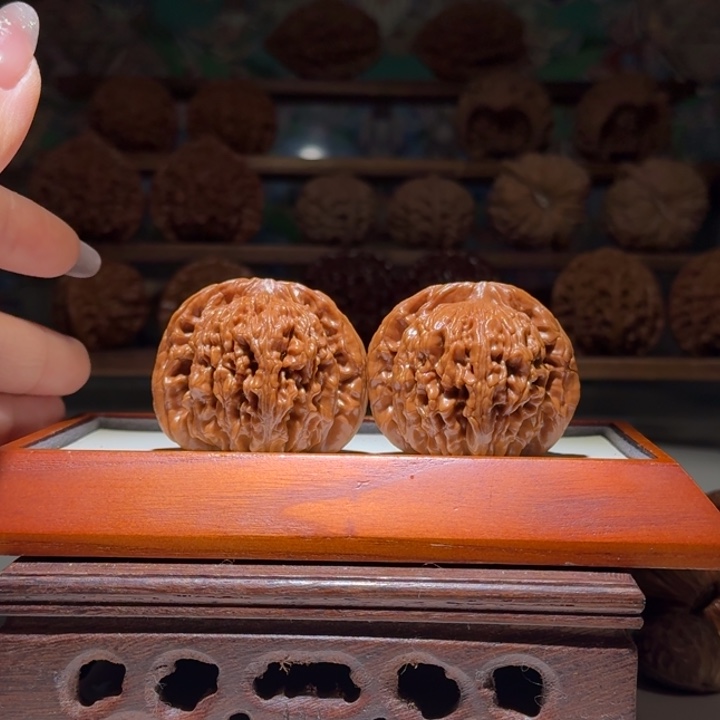 46全品四座楼大尺寸树王对