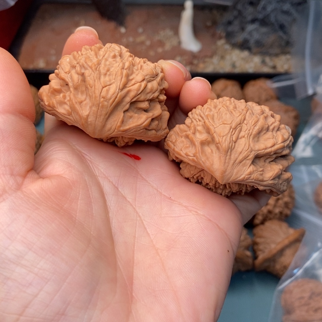 吊坠文玩核桃帽蛇48