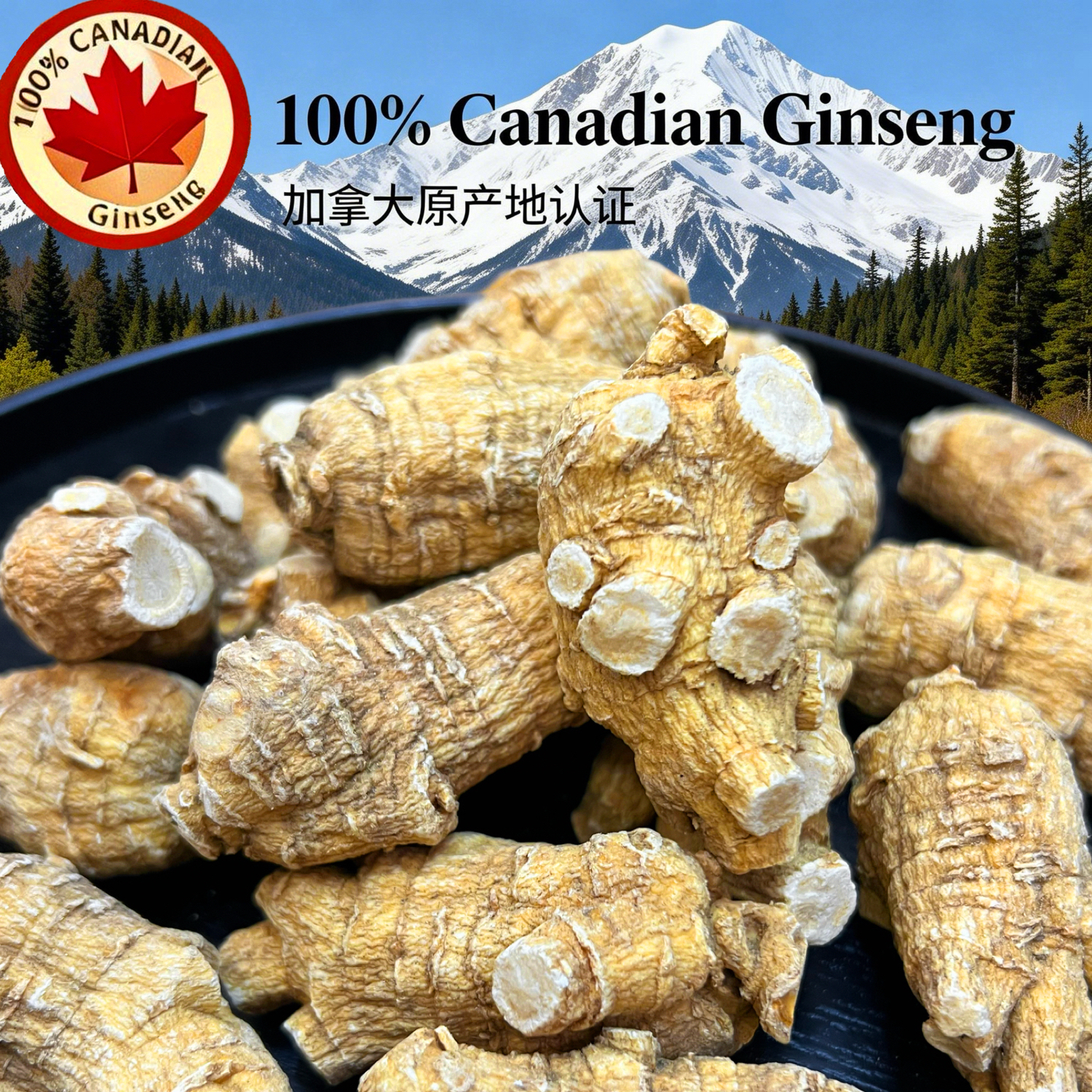 进口加拿大5克西洋参正品西洋参软枝花旗参短枝粒头直播磨粉切片