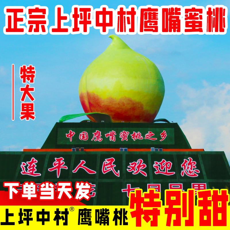 【顺丰包邮】正宗广东河源连平鹰嘴桃应季新鲜桃子水果脆桃5斤/10斤