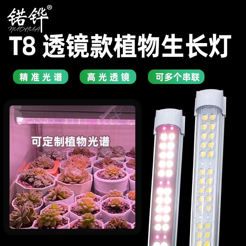 T8双排大芯片透镜款全光谱植物生长灯多肉植物花卉热植补光灯组培