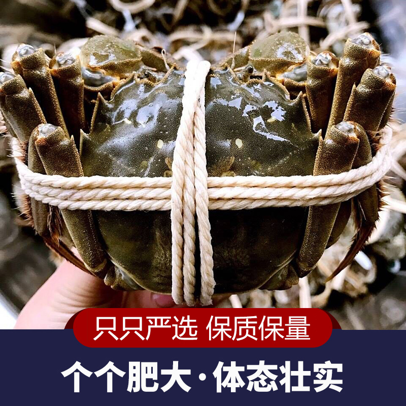 【活蟹】江苏精品大闸蟹公蟹母蟹搭配3-4斤/每只3两起6-12只