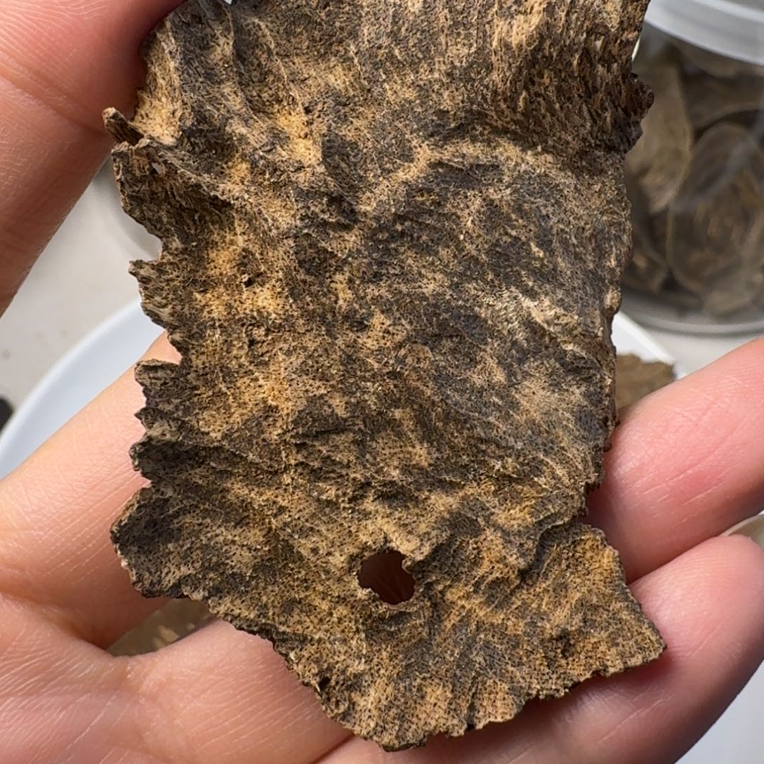 沉香碎屑沉香海南树根油4.67克