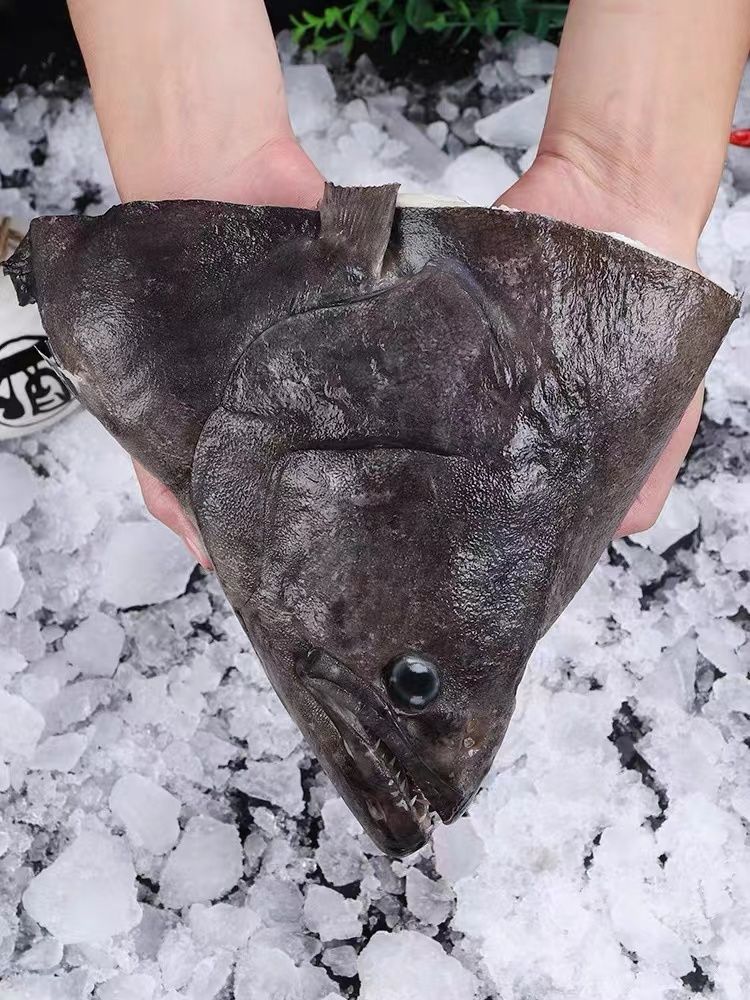 冷冻新鲜雅片鱼头碟鱼头比目鱼头扁鳕鱼头新鲜海鲜