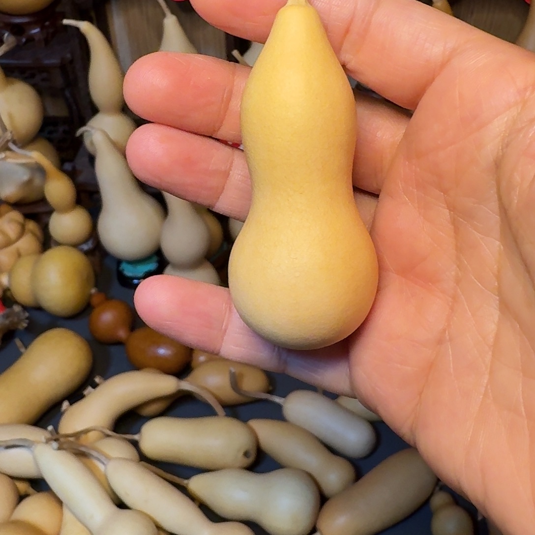 L***Z2893999848848999999