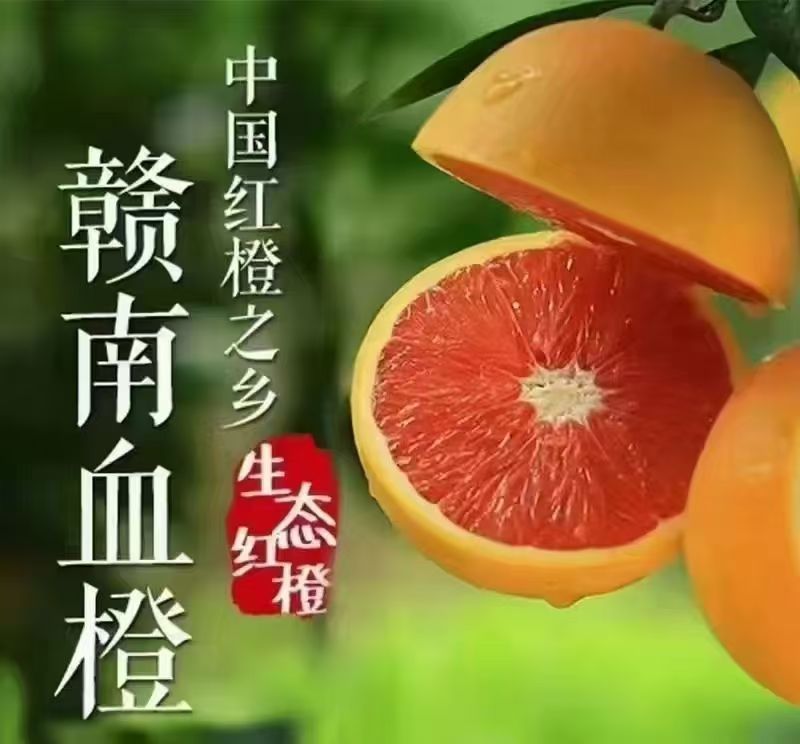 中华红血橙小果20斤红壤孕育甜润多汁维C爆满富含花青素孕妇水果