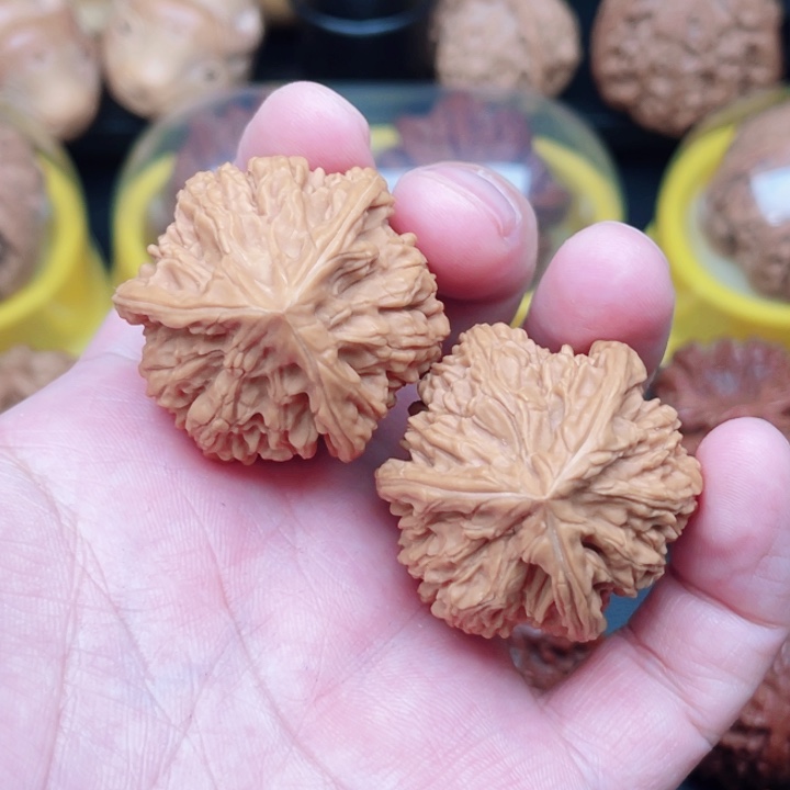 文玩核桃把件文山三棱37×36×36