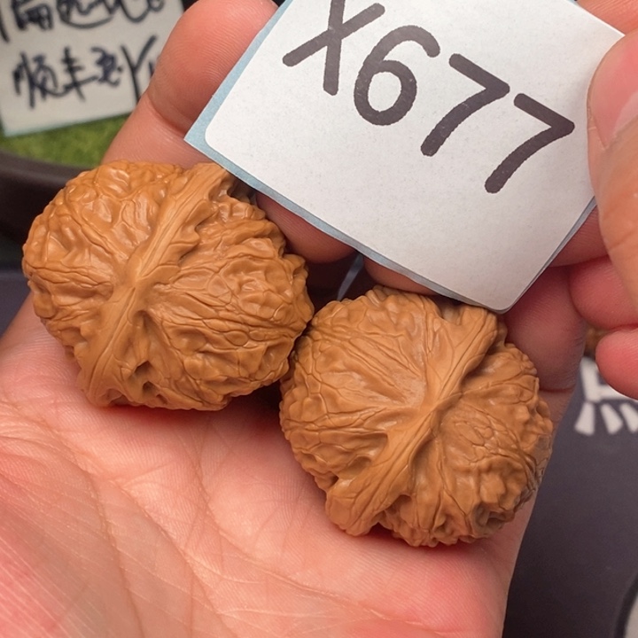 文玩核桃把件505050505050