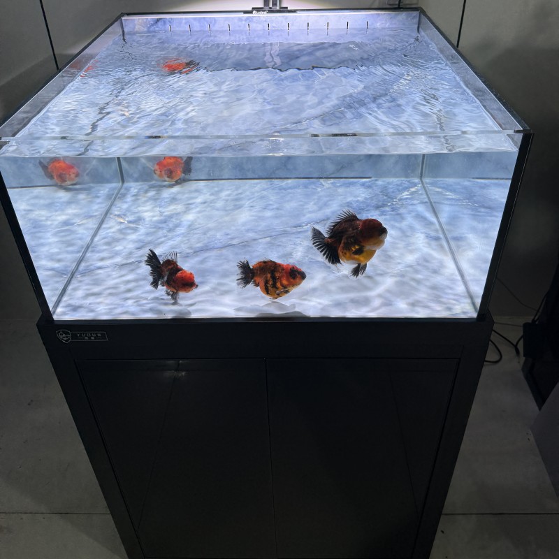 极窄岩板方形溪流缸三层干湿分离底滤水族箱兰寿玛丽泰狮鱼缸客厅