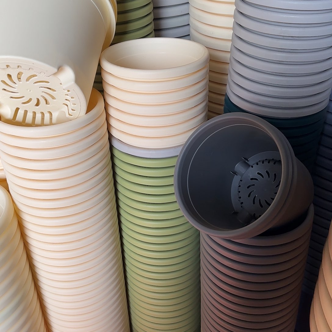 树脂四季2号无托12个微瑕