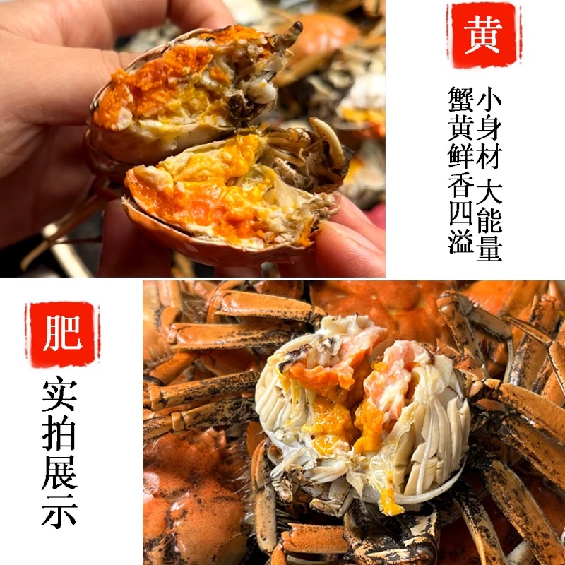 【活蟹】公蟹大闸蟹（5.3-5.6两）2只