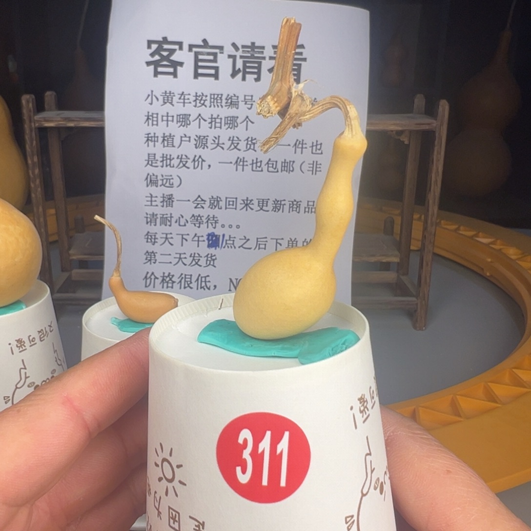 闪电购自助下单编号311