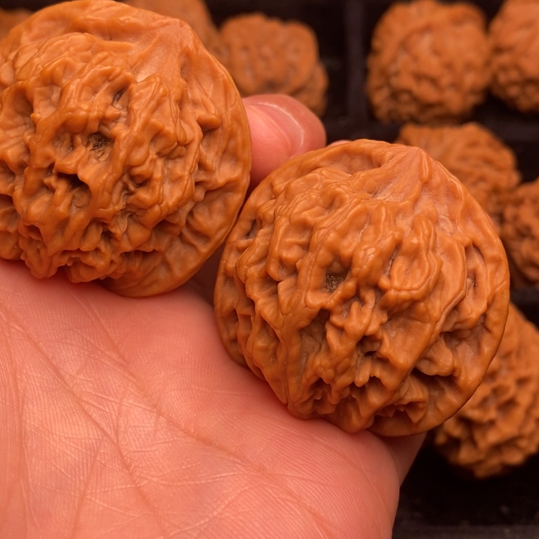 吊坠文玩核桃秦岭野生动物资源