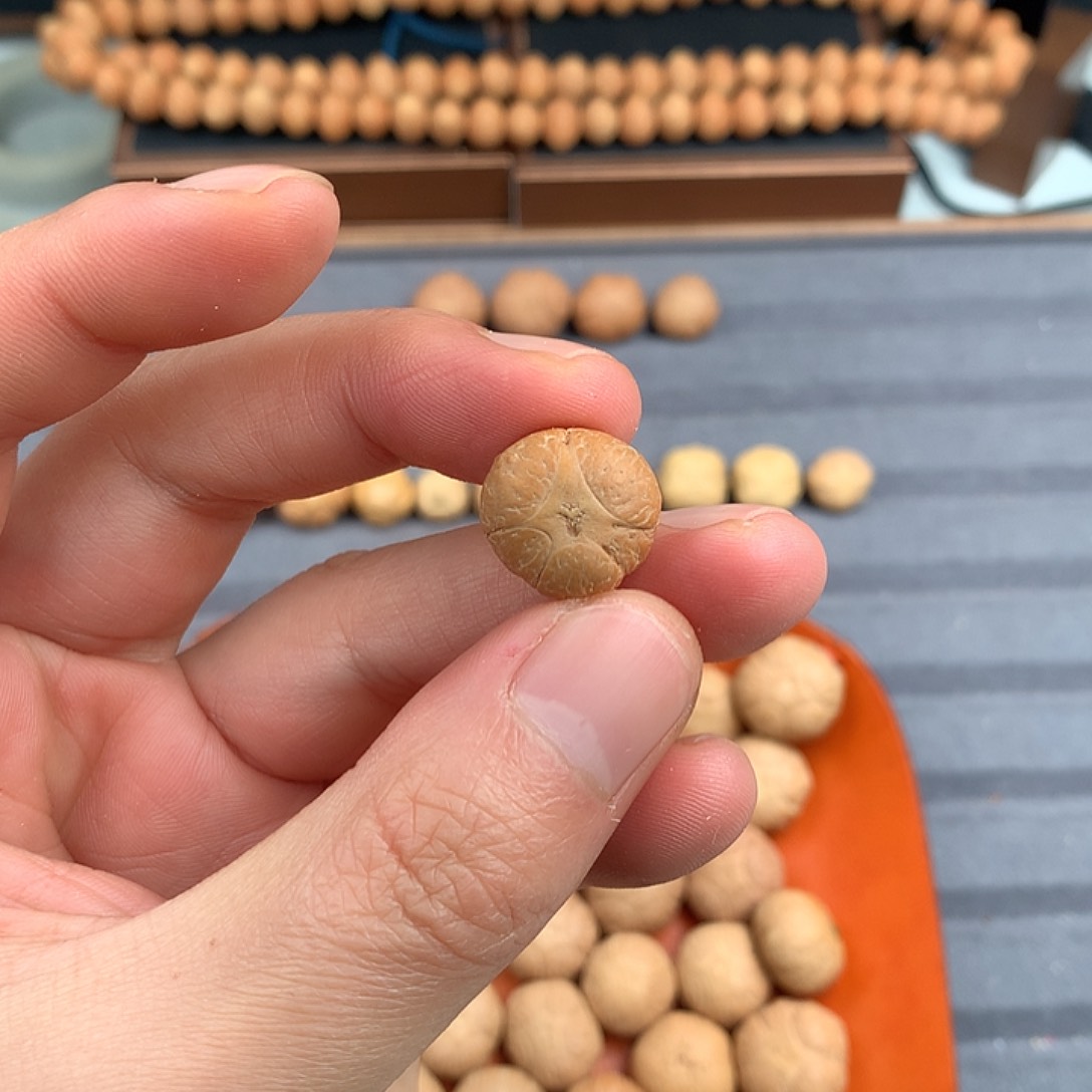 吊坠凤眼菩提福利16+五星，非质量问题开孔不退