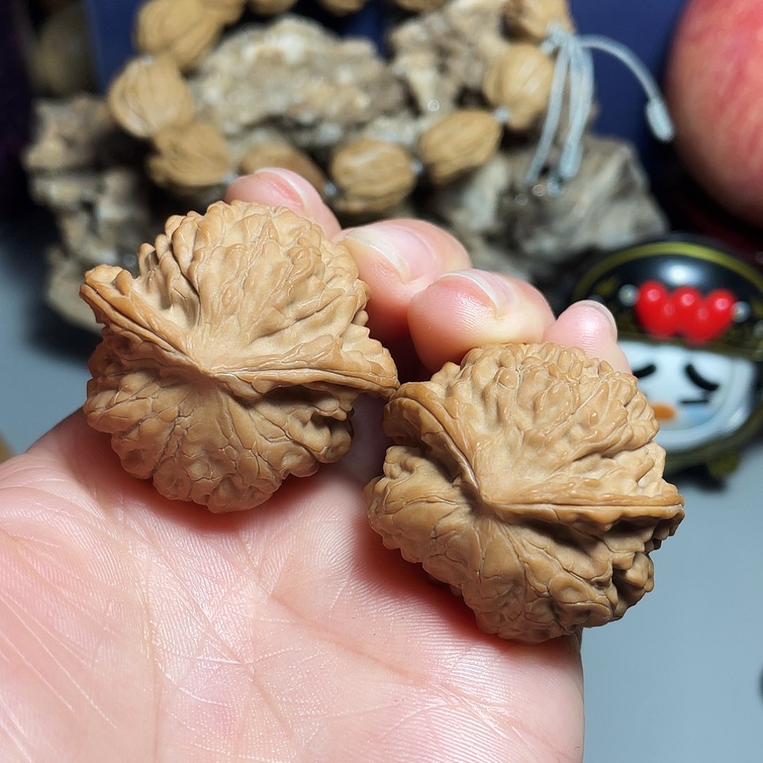 核桃手串/手链精品文山飞蛇