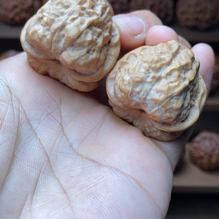 金***园龙脊菩提吊坠蛙蛙蛙蛙蛙