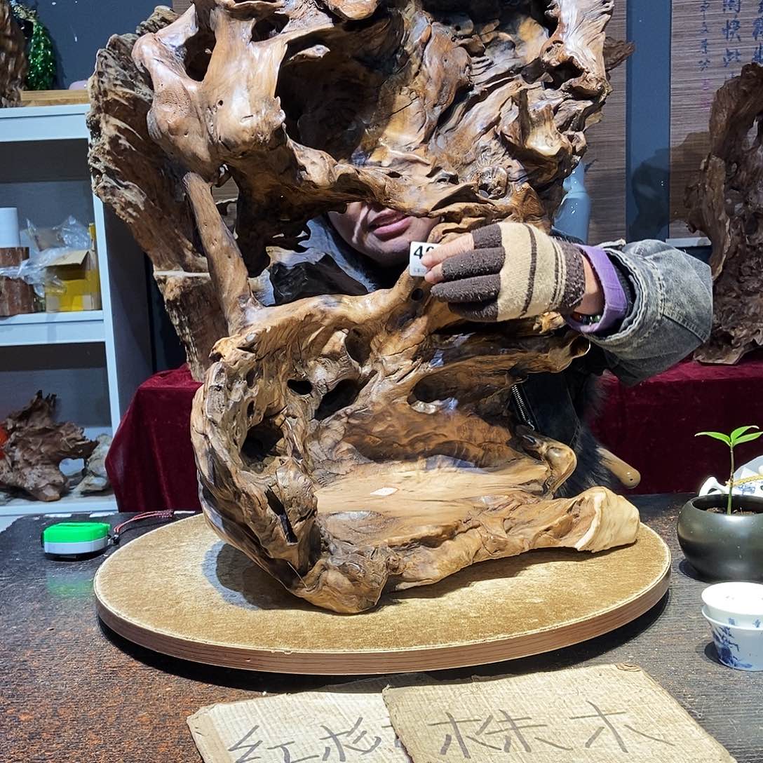 雁***霞400。株木随行根艺