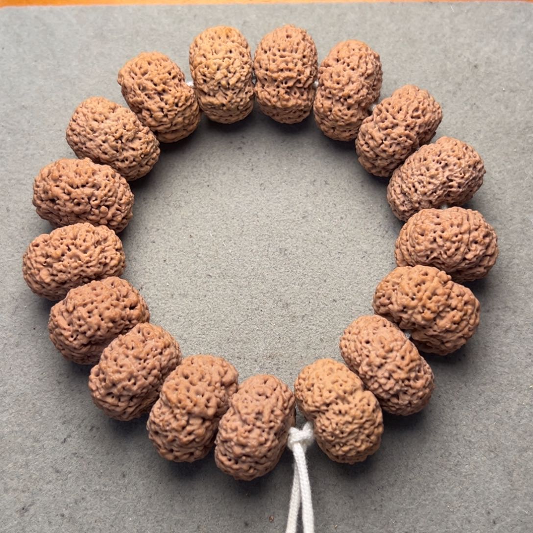 菩提20号金刚菩提夹板菠萝蜜24