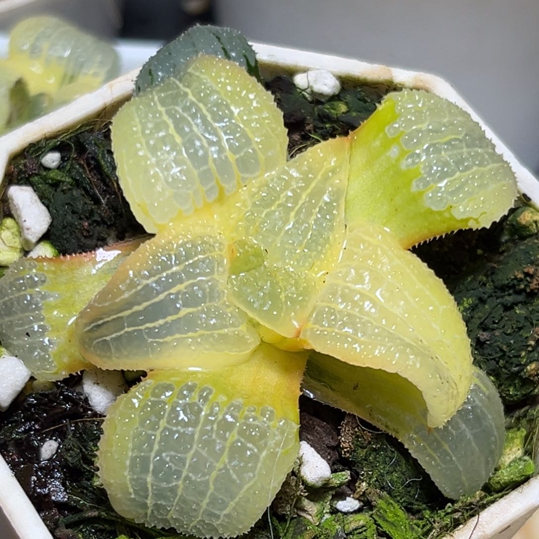 恭喜发财大吉大利899