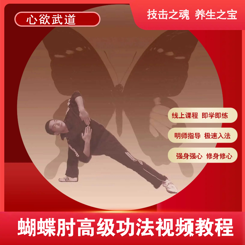 蝴蝶肘高级功法功技合一练养一体拳兵一如
