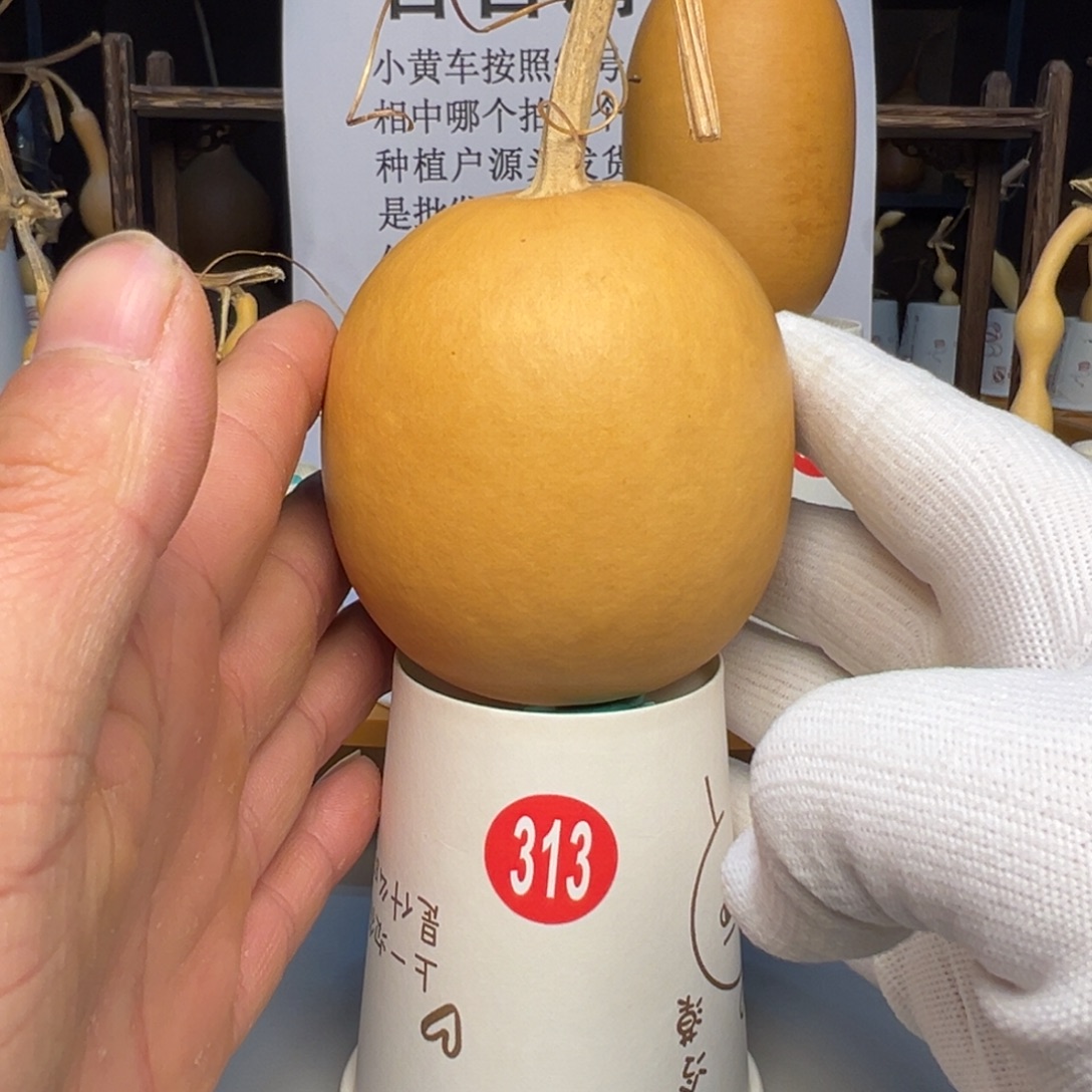 闪电购自助下单编号313