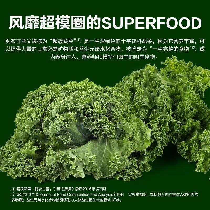 新鲜羽衣甘蓝嫩叶可用于健身榨汁、火锅、西餐沙拉的蔬菜食材