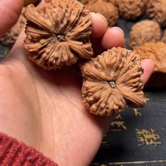 2***.44尺南疆全品有修