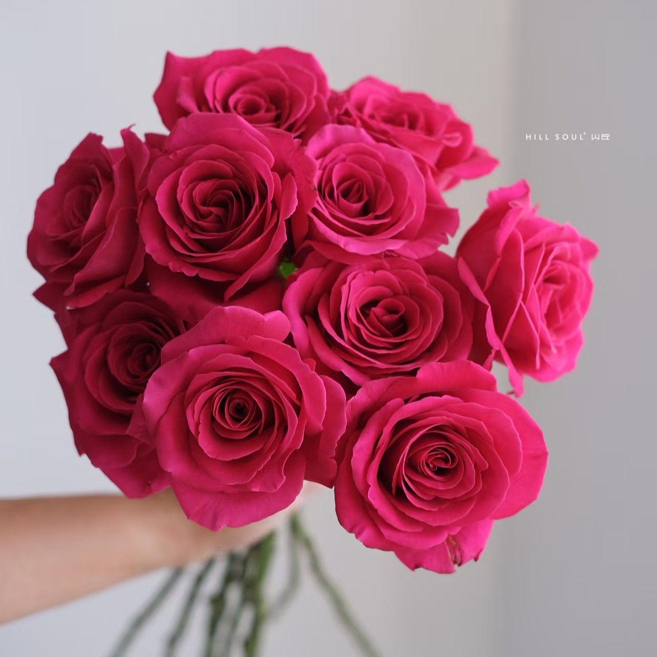 小花头弗洛伊德18枝+2枝防损，有夹枝