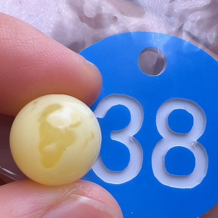 未镶嵌蜜蜡裸石花粉12.8m m