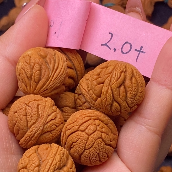 秦岭龙纹桃核13颗