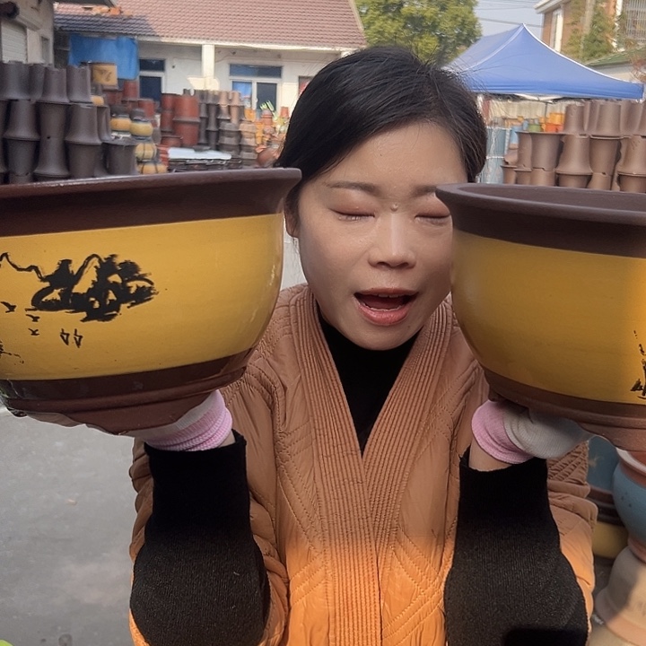 21+21黄三角金钟花盆花盆花盆花盆