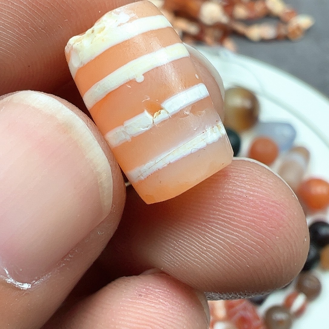 鳄****泥塑x80.........