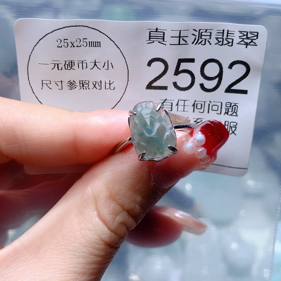 翡翠颈饰未镶嵌2592。