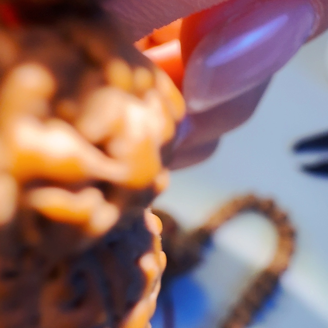 歌*飘啊哭咯摸摸哦哦哦哦哦