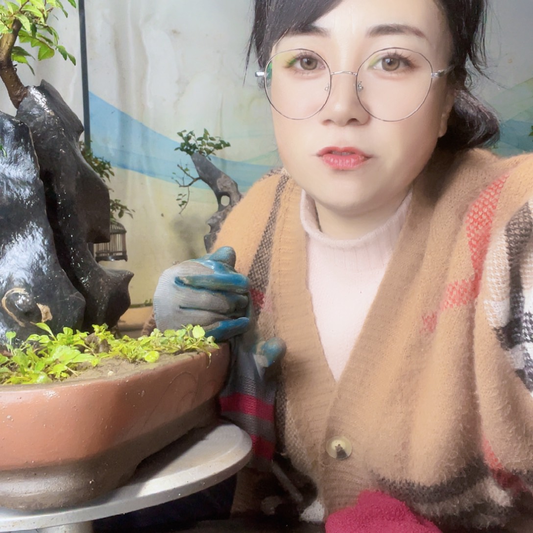 江***鬼无花朵直播间不见不散来看看有没有喜欢