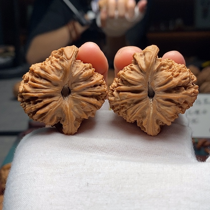 核桃7号 41尺对龟南疆石 全品