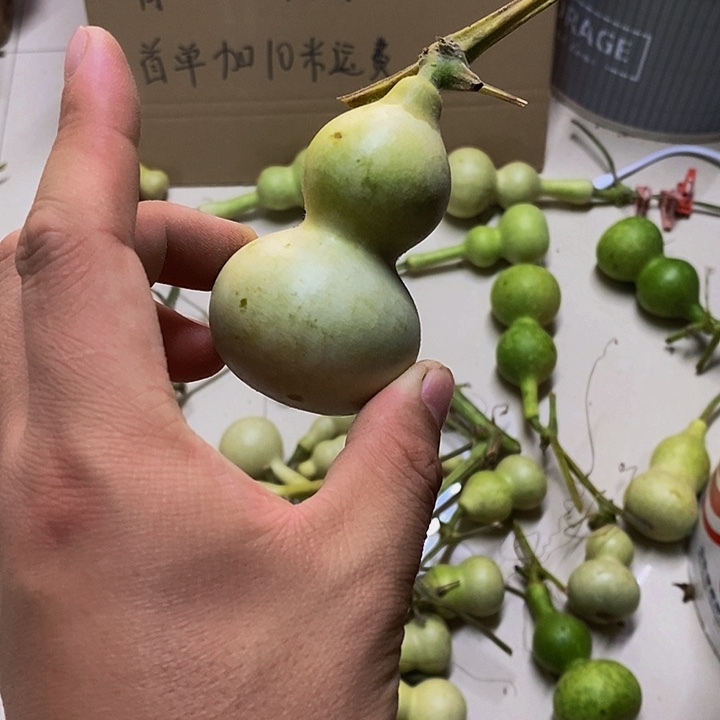 李*逸长嘴哈哈哈哈哈哈哈哈哈哈好