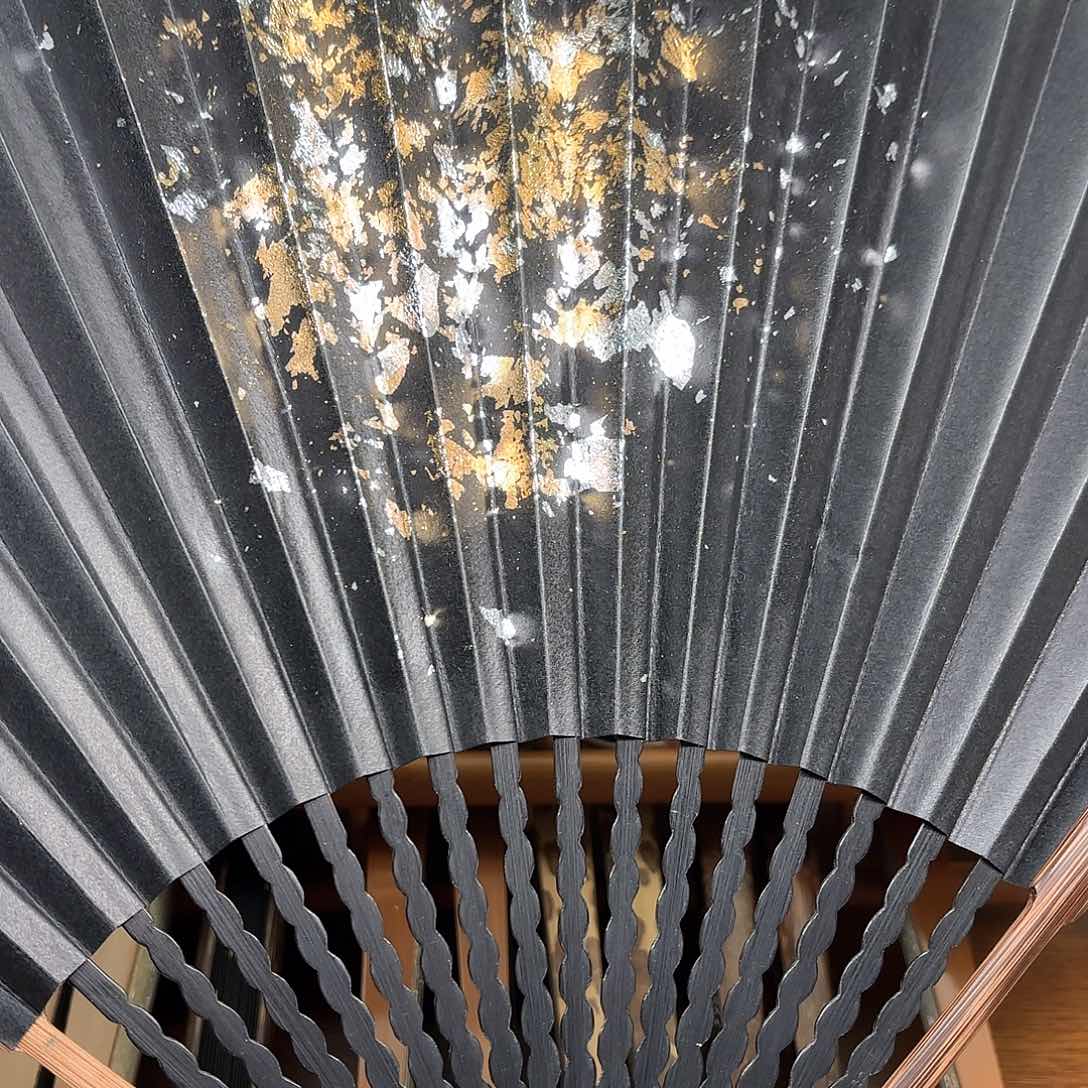 扇子爆炸金龙鳞棕竹