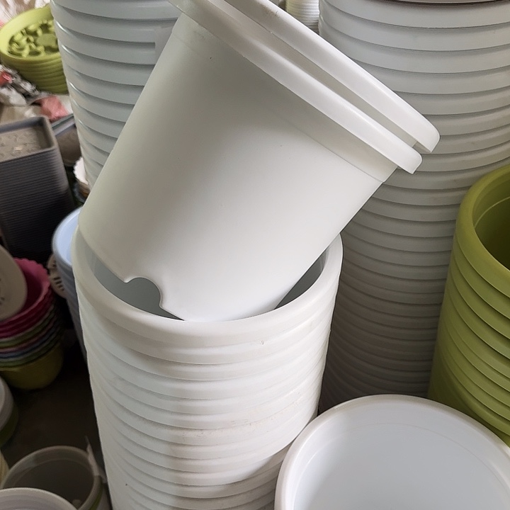 微瑕5#口径29白色5个无托