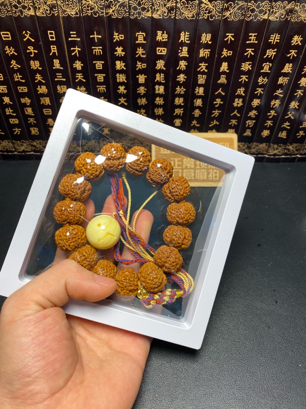 精品毕业梅花（27号）