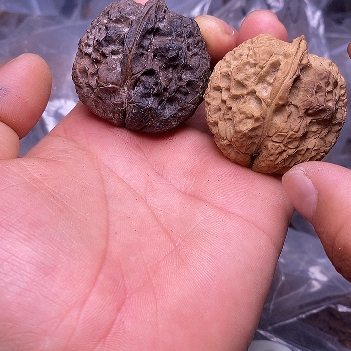 文玩核桃把件   189