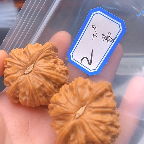 文玩核桃吊坠费**哥白狮子