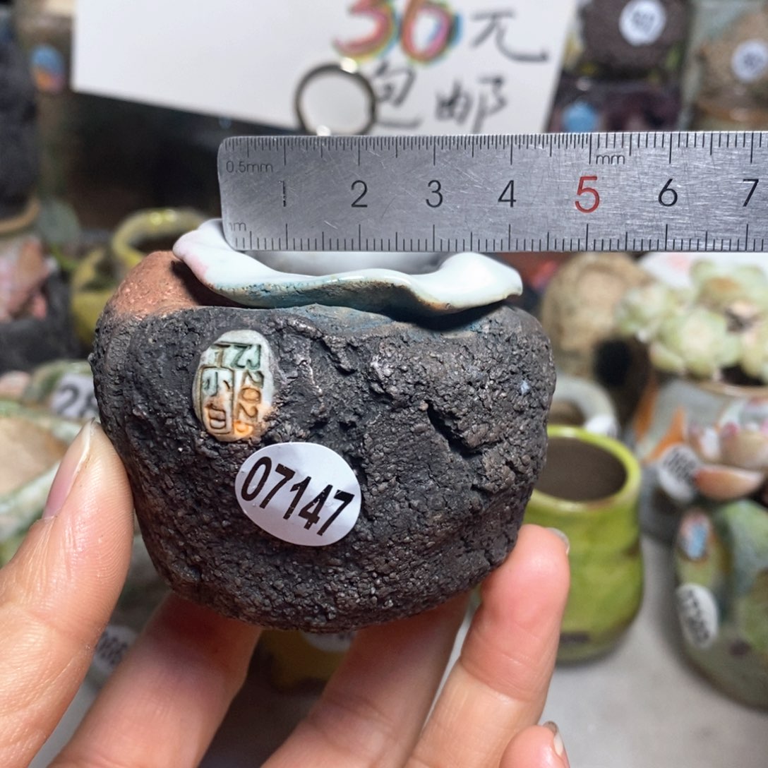 花盆拍3送一个小礼物