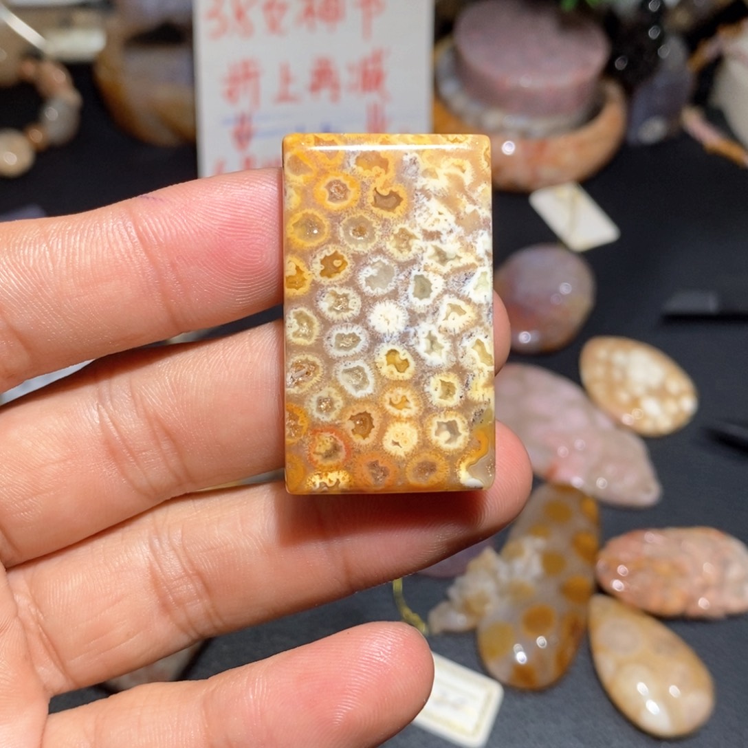 【闪购商品】硅化玉颈饰未镶嵌