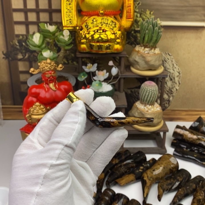 安南黄檀（紫檀柳）169