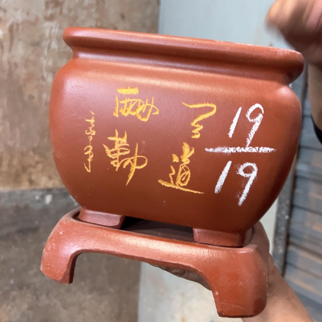 紫砂花盆紫砂花盆